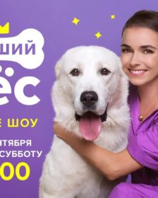 Дог-шоу Лучший пес на телеканале ТВ-3