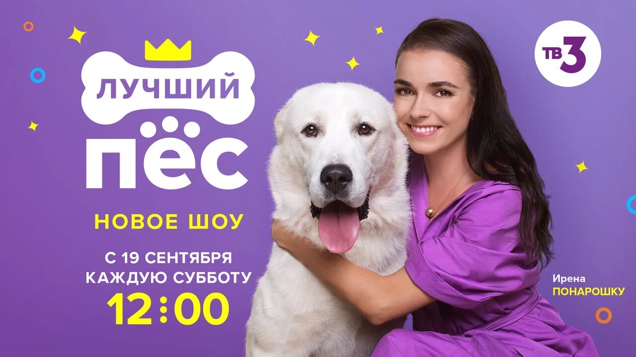 Дог-шоу Лучший пес на телеканале ТВ-3